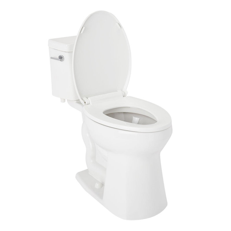 Rilla 1.28 GPF Two Piece Elongated Toilet