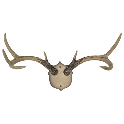 Antler Wall Racks