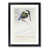 Black Framed selected
