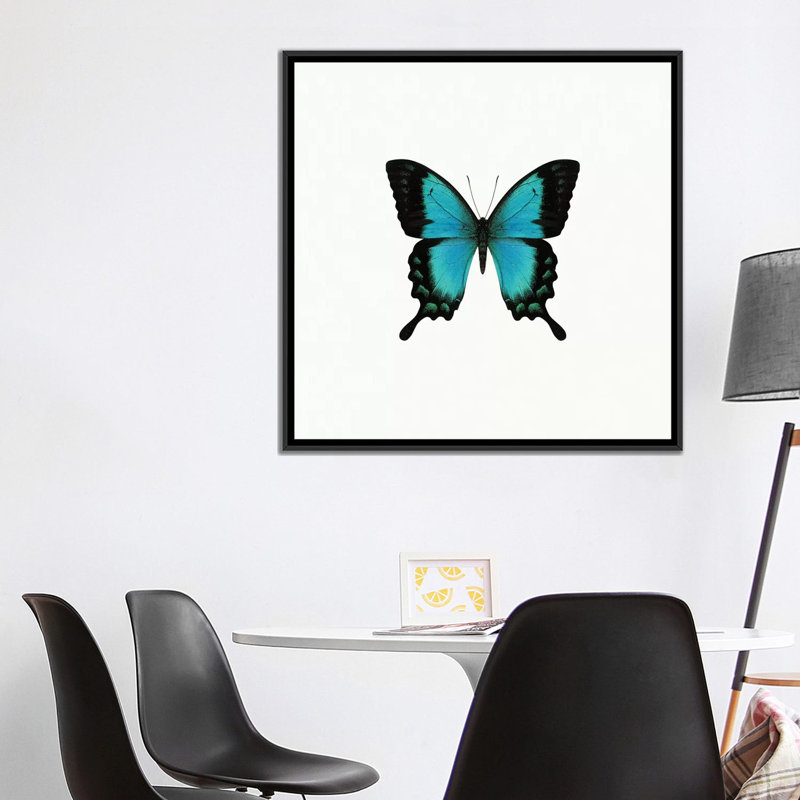 « blue papillon », impression sur toile tendue, H 18 po x l 18 po x P 1,5 po, Toile avec cadre noir, Pas de tapis