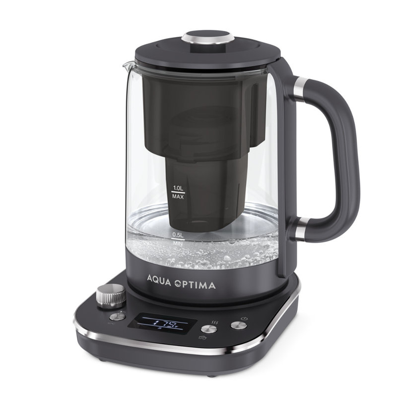 Bouilloire électrique avec filtre à eau