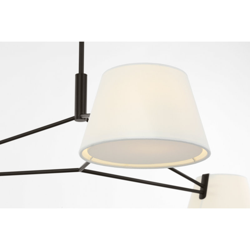 Raquelle Richard June Transitional Hale Chandelier, 48, Aged Iron