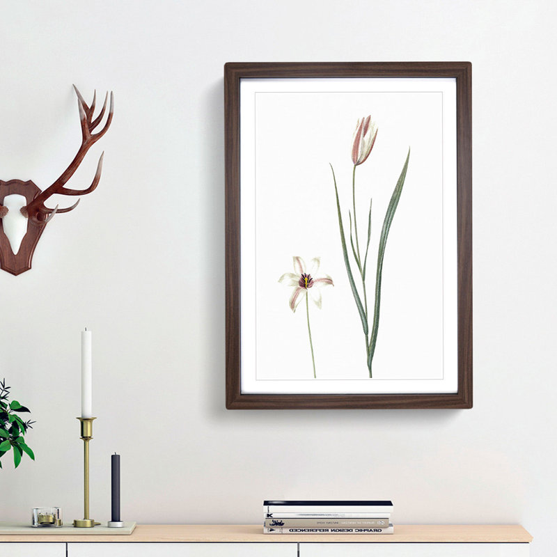 Lady Tulip Flowers by Pierre-Joseph Redoute - Picture Frame Painting Print, 48cm H x 36cm W x 2cm D, Walnut Framed