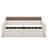 Wingo Upholstered Twin Size Daybed With LED Lights-648739341