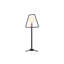 Sandiacre Metal Novelty Lamp