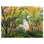 " Maple Tree Canopy "