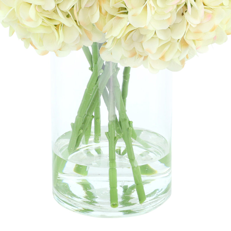 Hydrangeas Arranged in a Glass Vase, Cream