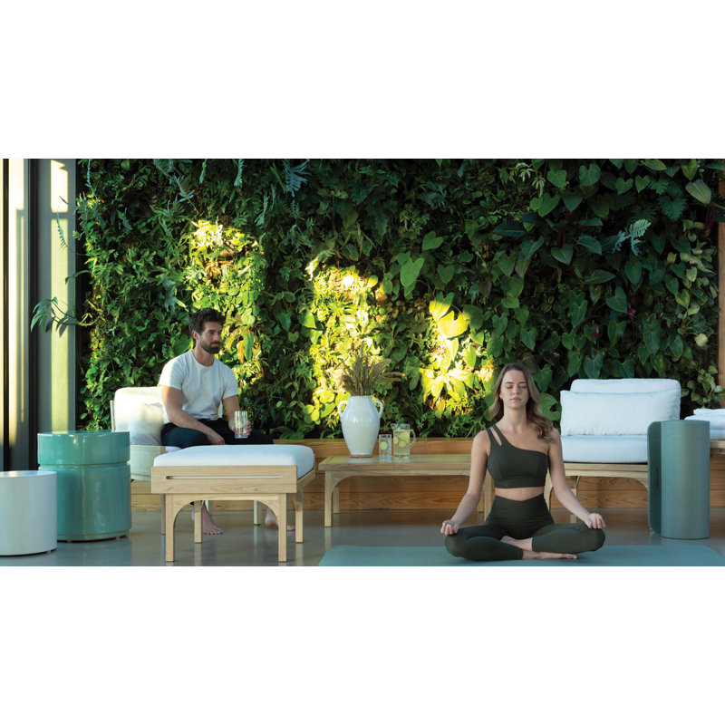 Serenique Outdoor Teak Lounge Chair
