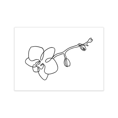 Orchid - Print