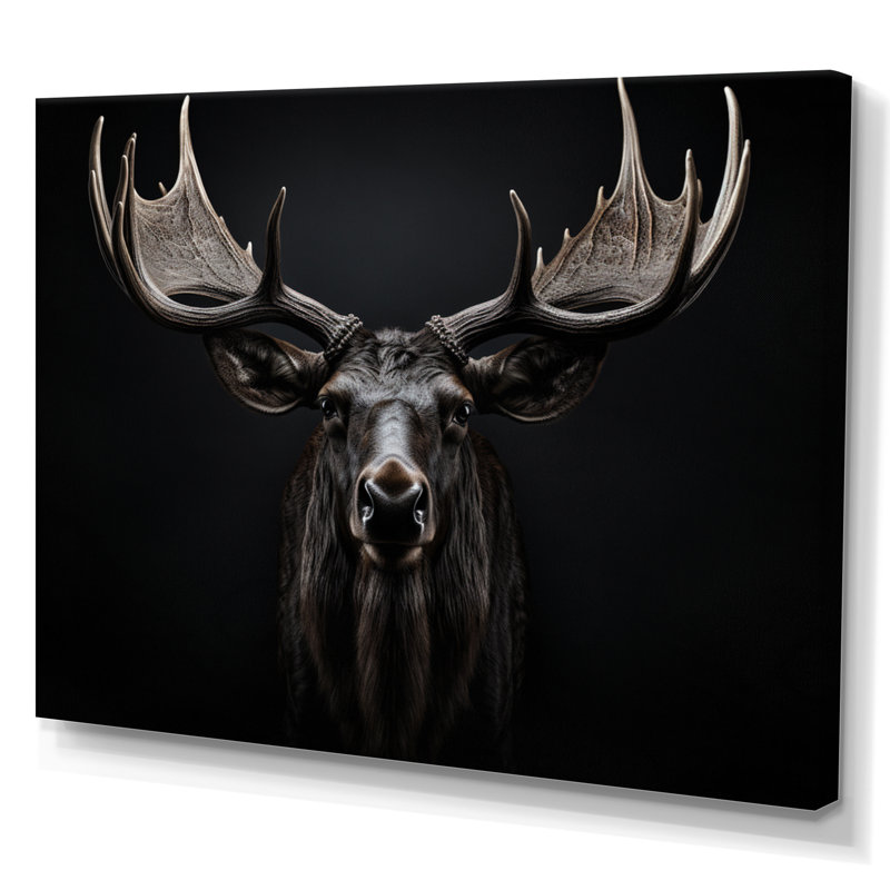 Orignal noir blanc majestueux noir et blanc - art mural orignal, H 16 po x l 32 po, Toile tendue, Sans cadre