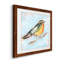 «Bird Variety IV», ensemble de 1 reproductions carrées sur toile-62718982-62718987