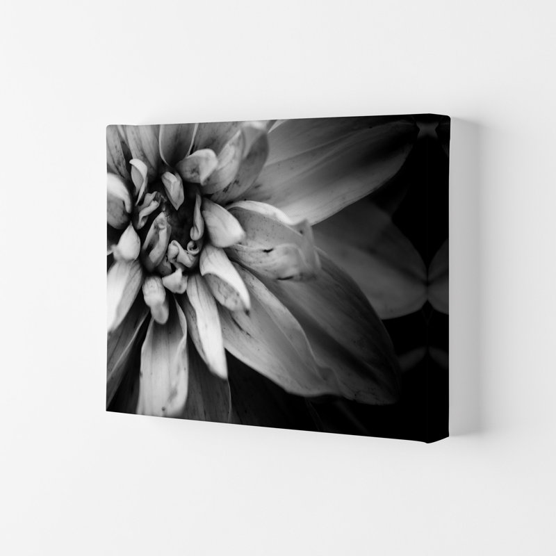 Flower Petals I by Victoria Frost - Print, Wrapped Canvas, 42cm H x 59.4cm W x 4cm D