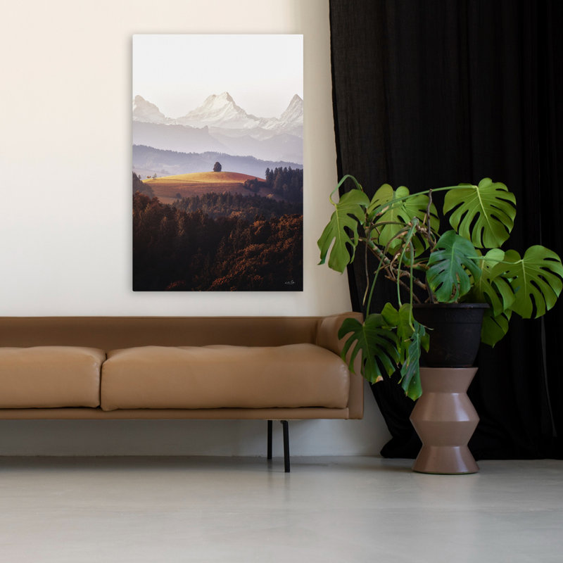 Arbre autonome dans les Alpes - Photographie contemporaine paysage montagne Art, H 48 po x l 32 po