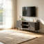 TV Stand for TVs up to 55"