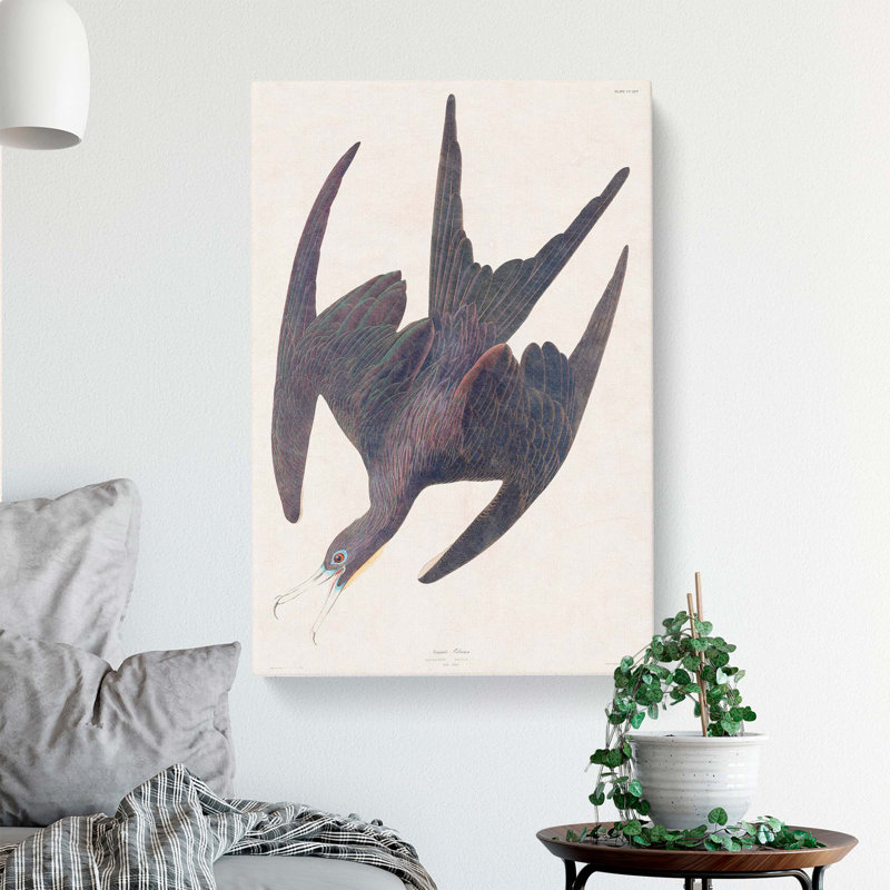 Frigate Pelican by John James Audubon - Wrapped Canvas, 50cm H x 35cm W x 3cm D
