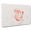 Pale Pink Rose - Wrapped Canvas Print-56662133