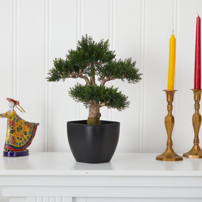 15'' Faux Bonsai Tree in Planter