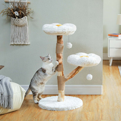 Arbre à chat moderne en bois avec branches en bois véritable, meubles de luxe bohème avec griffoir et 2 perchoirs pour chats d'intérieur