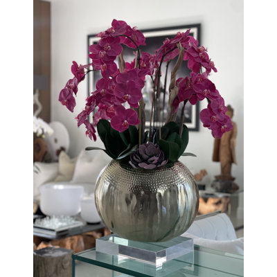 Olympian Phalaenopsis Orchids Centerpiece in Planter