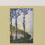Claude Monet - Wrapped Canvas Painting-21211438