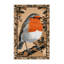  Tapis lavable European Robin Birds-628402979