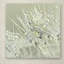 «Dandelion Dew III» par Cora Niele - reproduction de photo sur toile tendue-32708446