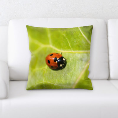 Housse de coussin carré et insert
