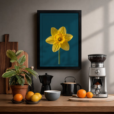 Golden Daffodil Botanical - Framed Print
