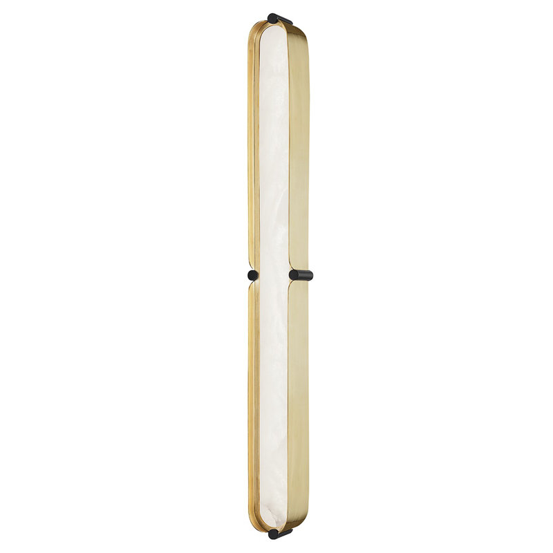 Hudson Valley Black and Brass Modern LED Bath Light