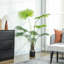Faux Palm Tree in Pot-2128814853