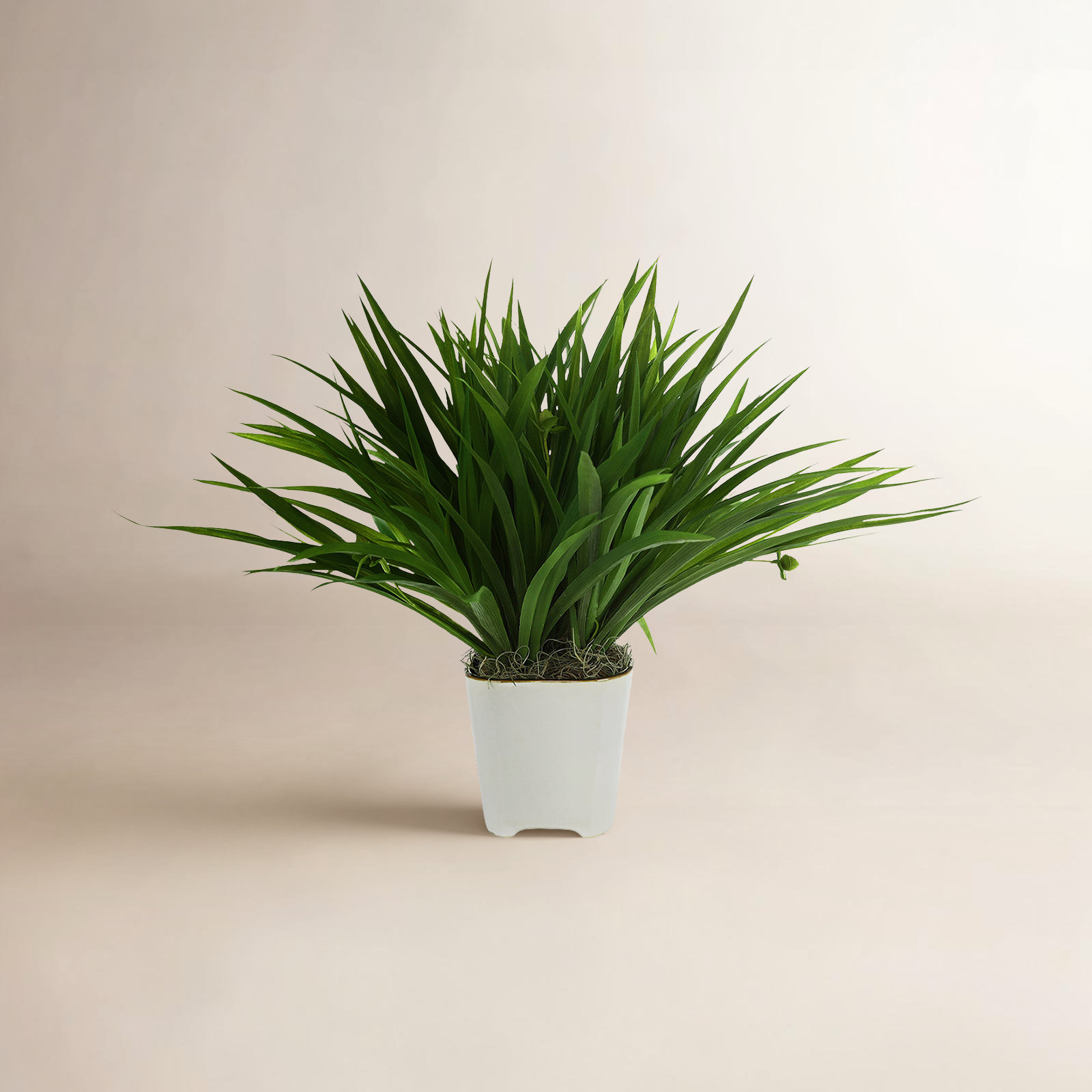 Weatherhill 17" Grass Plant in Pot