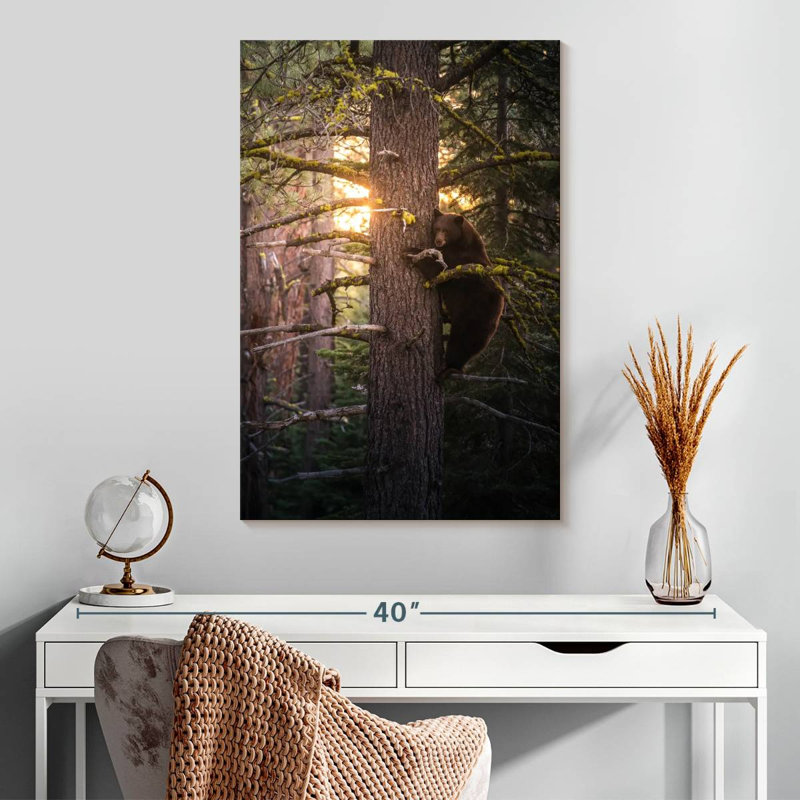 Brampt Bear On A Tree, 30" H x 20" W