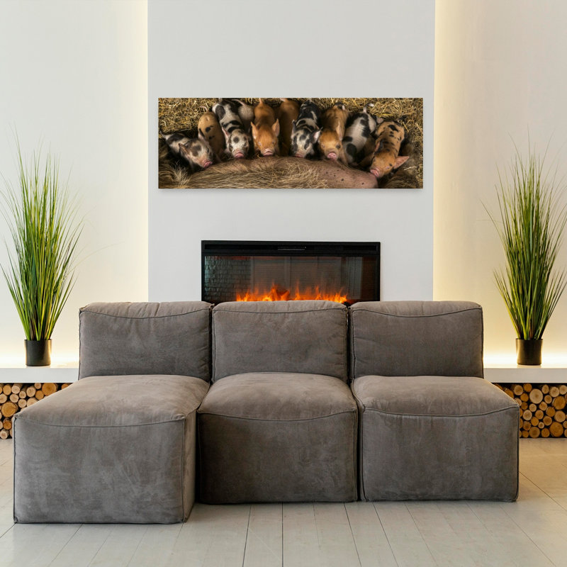 Newborn Piglets Nursing by Gert Van Den - Wrapped Canvas Panoramic Print, 121.92 cm H x 40.64 cm W