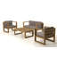 Taniya 4 Seater Sofa Set