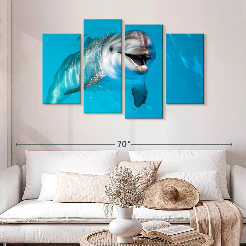 Brampt Dolphin's Smile
