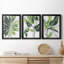 «Expressive Palm I», ensemble de 3 impressions sur toile encadrées-755538715-755538917