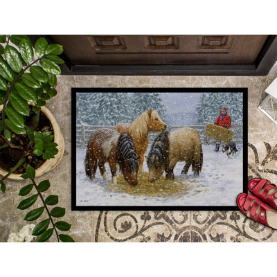 Non-Slip Outdoor Doormat