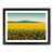 Black Framed selected