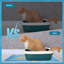 Tapis pour chat 15 po x 24 po Summer Pool