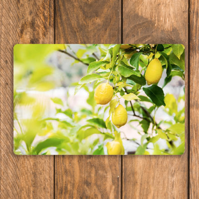 Napperon Lemon Tree
