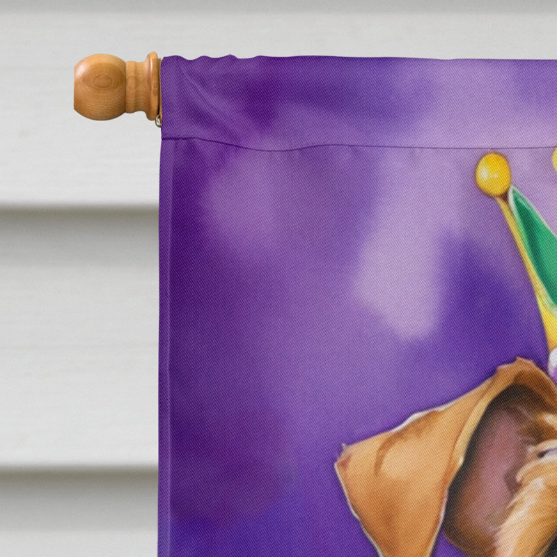 Drapeau de maison double face en polyester H 40 po x l 28 po