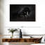Cheval noir élégant Brampt-107680416