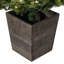 4' H Lighted Artificial Pine Christmas Tree