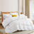 Hotel Quality All Season Feather and Down Comforter/Duvet Insert, Queen-1140565891