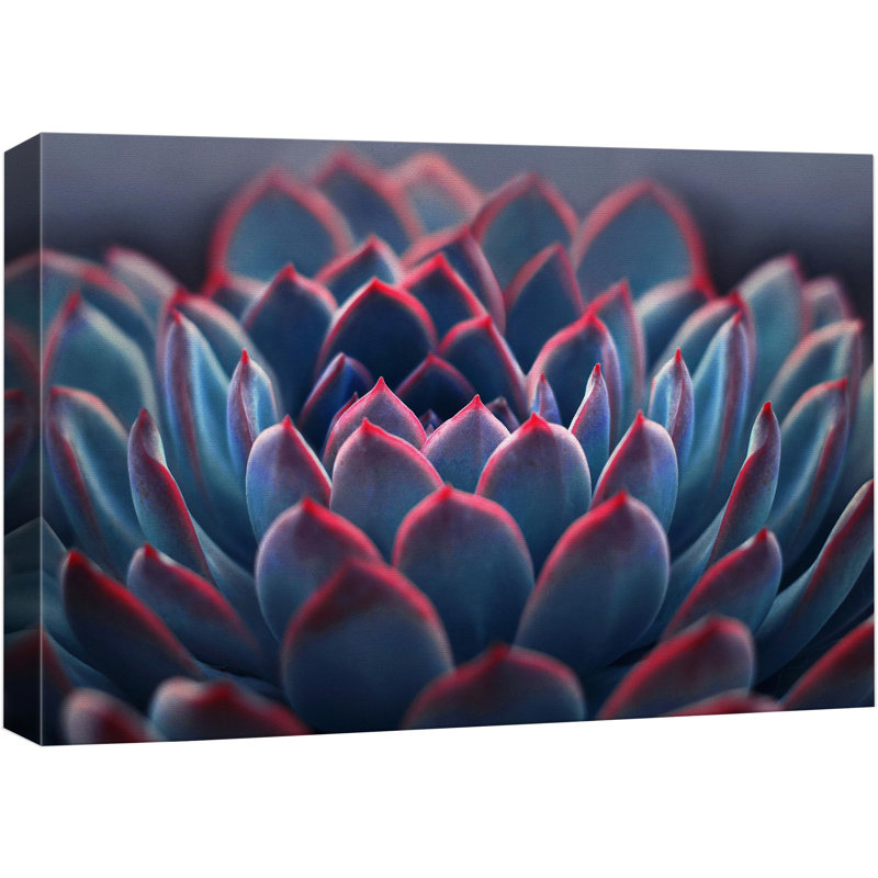 IDEA4WALL " Desert Rose Succulent Southwest " on | Wayfair