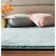 Anastacia Performance Oriental Rug