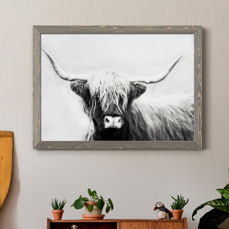 Highland Longhorn - Cadre flottant, reproduction de photo sur toile, H 31,5 po x l 23,5 po x P 1,5 po, Toile avec cadre gris