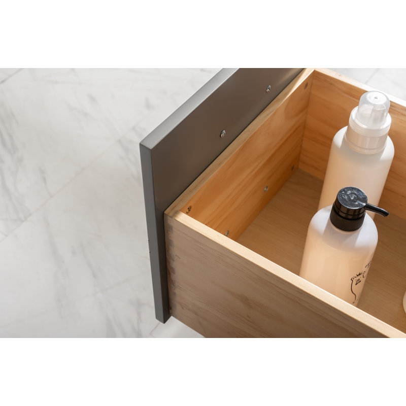 Ensemble de meuble-lavabo simple 42 po Willisville, Nickel brossé, gris