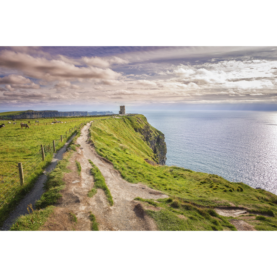 Cliffs Of Moher von Aprott - Druck auf Leinwand ohne Rahmen