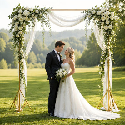 6.5 x 10 ft Wedding Backdrop Stand with Clamps, Adjustable Wedding Arch Background Stand with Carrying Bag
